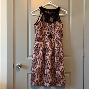 En Focus studio dress size 8